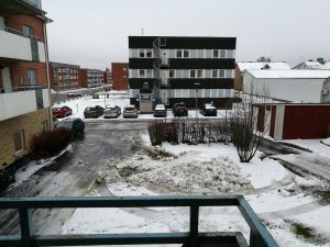 IMG_20161116_090113.jpg