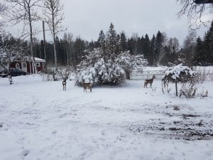 20161113_113209.jpg