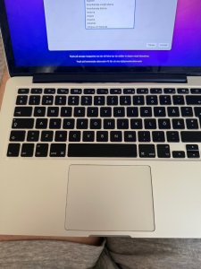 IMG_2413.jpeg