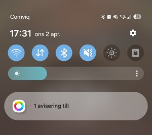 Screenshot_20250402_173134_One UI Home.jpg