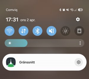 Screenshot_20250402_173140_One UI Home.jpg