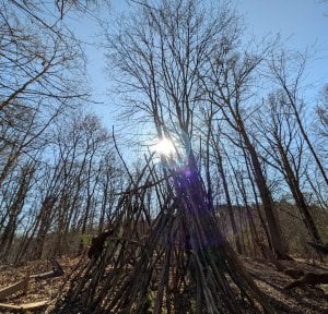PXL_20250404_082630553.jpg