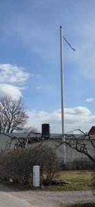 20250409_140446.jpg
