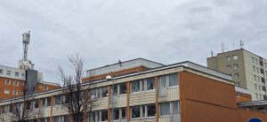 20250410_183022.jpg
