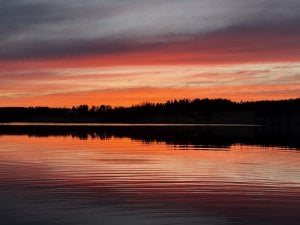 IMG_1377.jpeg