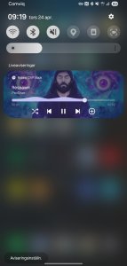 Screenshot_20250424_091933_One UI Home.jpg