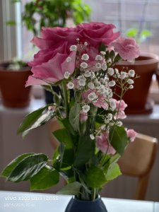 IMG_20250515_204837.jpg