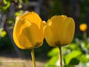 IMG_20250524_181919.jpg