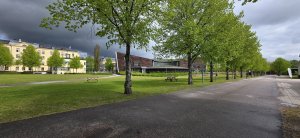 20250526_103634.jpg