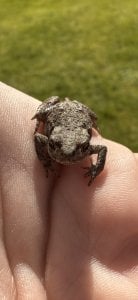 IMG_5578.jpeg