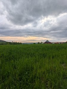 PXL_20250604_173437004.jpg