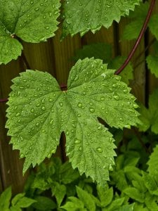 IMG_20250606_120824.jpg