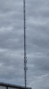 20250609_063758.jpg