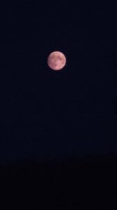 IMG_20250609_234419.jpg