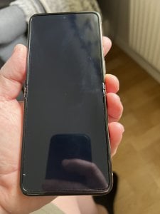 IMG_6625.jpeg