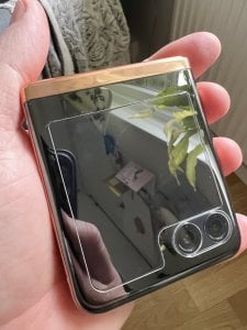 IMG_6631.jpeg