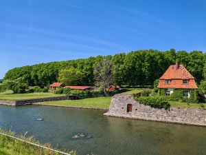 IMG_20250613_115628.jpg