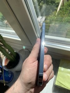 IMG_0029.jpeg