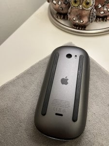 IMG_0937.jpeg
