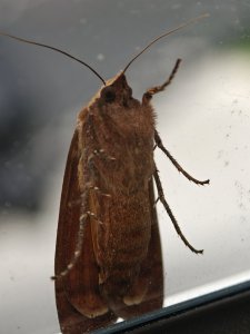 IMG20250706142519.jpg
