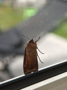 IMG20250706142515.jpg