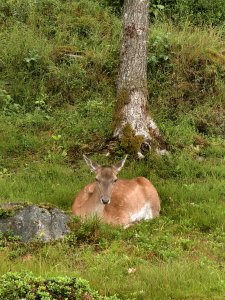 IMG_20250708_065514.jpg