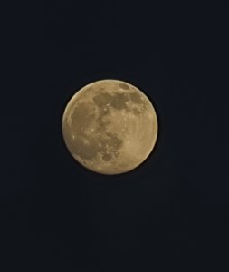20220415_Fejk_S21.jpg