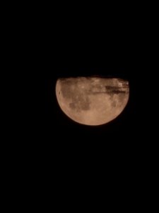 20250711_002543.jpg