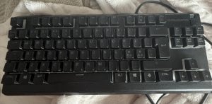 IMG_2721.jpeg