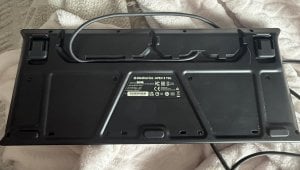 IMG_2720.jpeg
