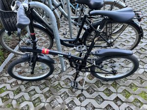 IMG_2787 (1).jpg