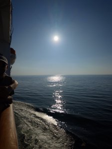 IMG20250718193444.jpg