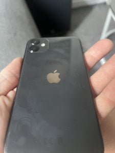 IMG_2969.jpeg
