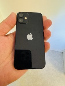 IMG_1905.jpeg