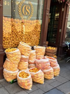 IMG_3778.jpeg