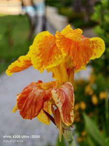 IMG_20250727_092425.jpg