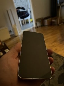 IMG_0003.jpeg
