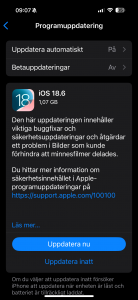 IMG_5931.png