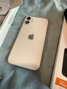 IMG_2229.jpeg