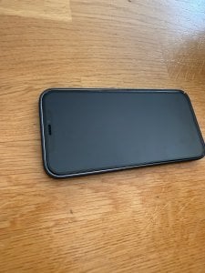 IMG_2286.jpeg