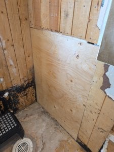 IMG_20250721_163919.jpg