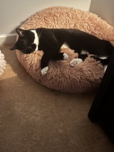 IMG_1197.jpeg