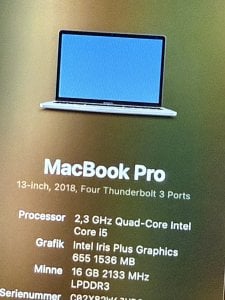 IMG_2613.jpeg