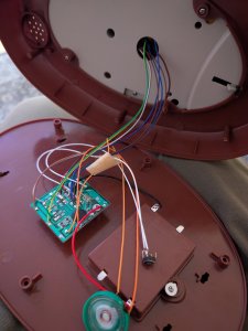 PXL_20250829_164411363.jpg