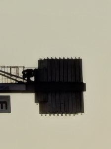 PXL_20250830_171123677.BURST-01.jpg