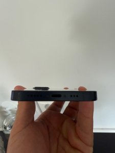 IMG_2494.jpeg