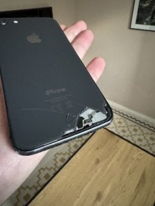 IMG_7265.jpeg