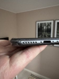 IMG_7266.jpeg