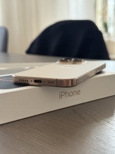 IMG_2856.jpeg