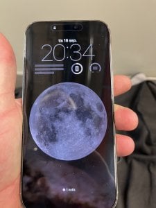 IMG_1237.jpeg